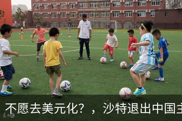 不愿去美元化？，沙特退出中国主导支付系统，其实对人民币是件好事？