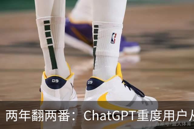 两年翻两番：ChatGPT重度用户从2.6%涨到10.5%