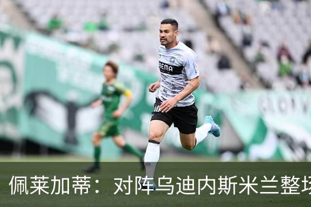 佩莱加蒂：对阵乌迪内斯米兰整场都保持了高度专注，这很积极