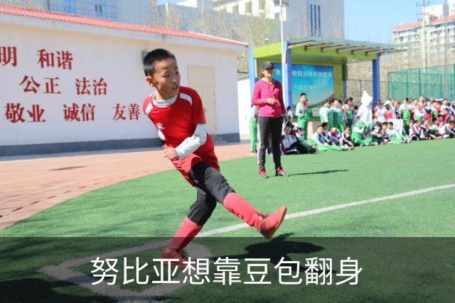 努比亚想靠豆包翻身
