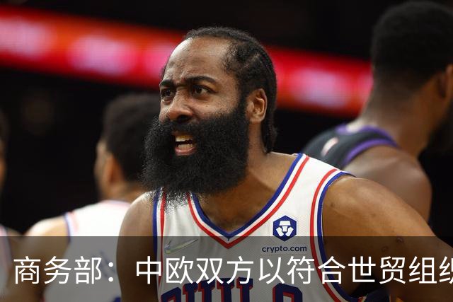 商务部：中欧双方以符合世贸组织规则的方式就混动汽车贸易达成谅解