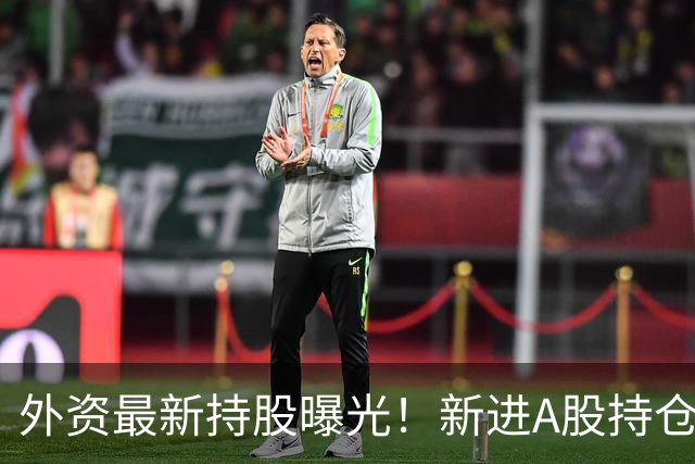 外资最新持股曝光！新进A股持仓数量前十名单来了