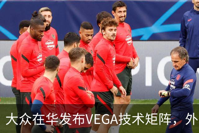 大众在华发布VEGA技术矩阵，外资车企里独一份
