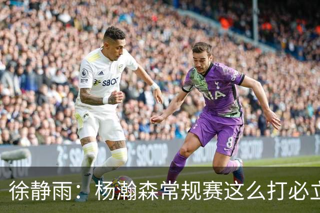 徐静雨：杨瀚森常规赛这么打必立足NBA 罗威是药罐子他有机会上位