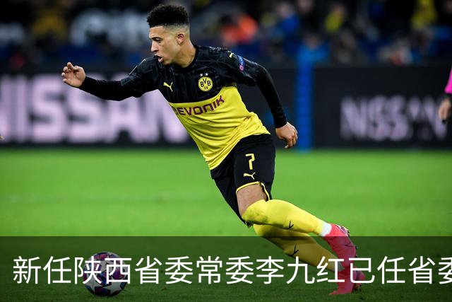 新任陕西省委常委李九红已任省委政法委书记