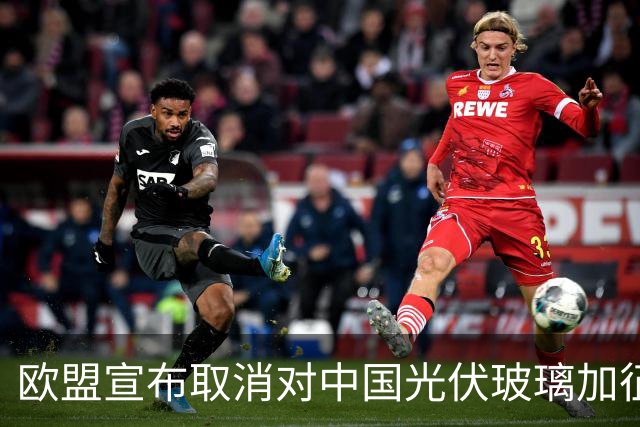 欧盟宣布取消对中国光伏玻璃加征关税，本土企业已全部倒闭，没保护必要了