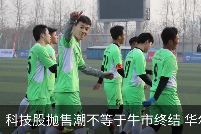 科技股抛售潮不等于牛市终结 华尔街策略师：基本面依然强劲 回调或是买入良机