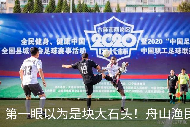 第一眼以为是块大石头！舟山渔民捕获300多斤翻车鱼，已放归大海