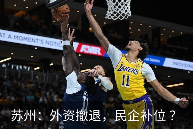 苏州：外资撤退，民企补位 ？