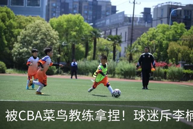 被CBA菜鸟教练拿捏！球迷斥李楠：李昂有你这阵容能虐你35分