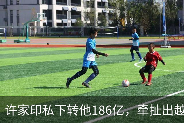 许家印私下转他186亿，牵扯出越来越多暗箱中的富豪