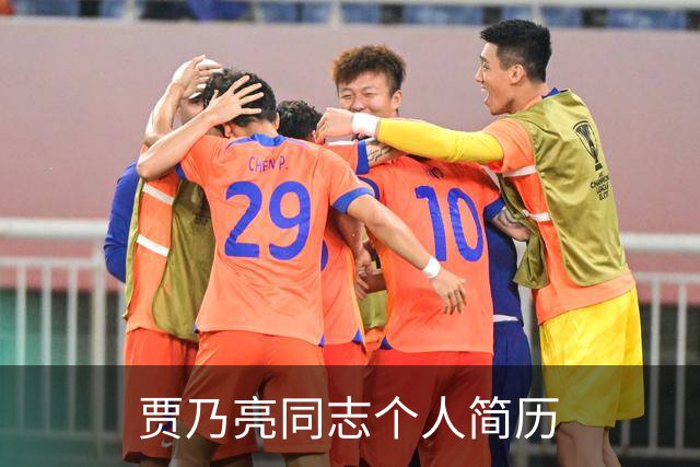 贾乃亮同志个人简历