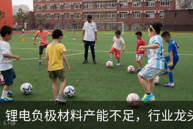 锂电负极材料产能不足，行业龙头杉杉股份拟定增募资不超40亿元加码产能等，海螺集团将全额认购